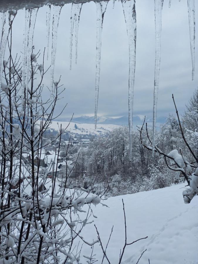 Hotel Smerekova Khata On Pidgirna Yasinia Esterno foto